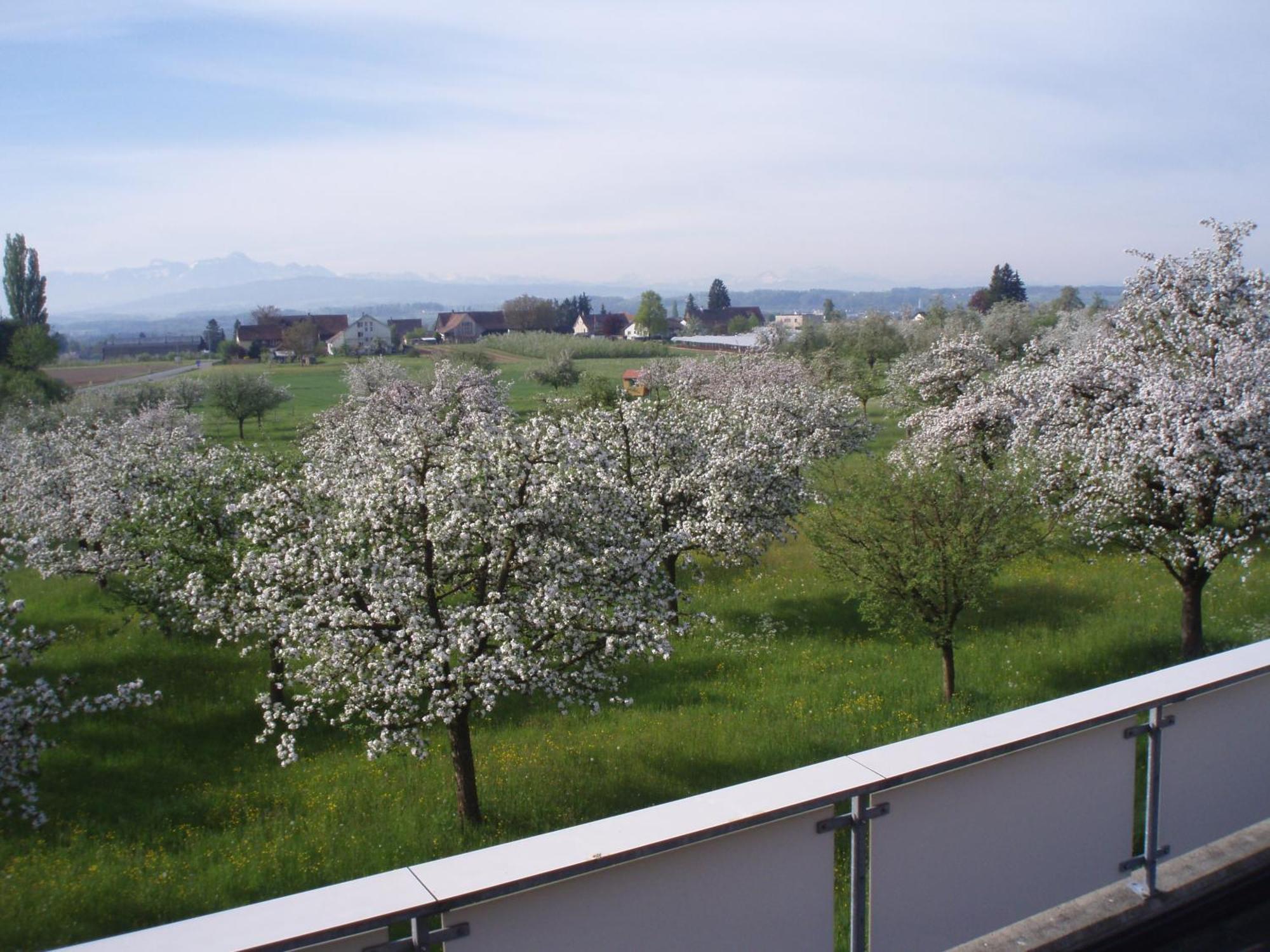 Haus St.Michael Hotel Dozwil Luaran gambar